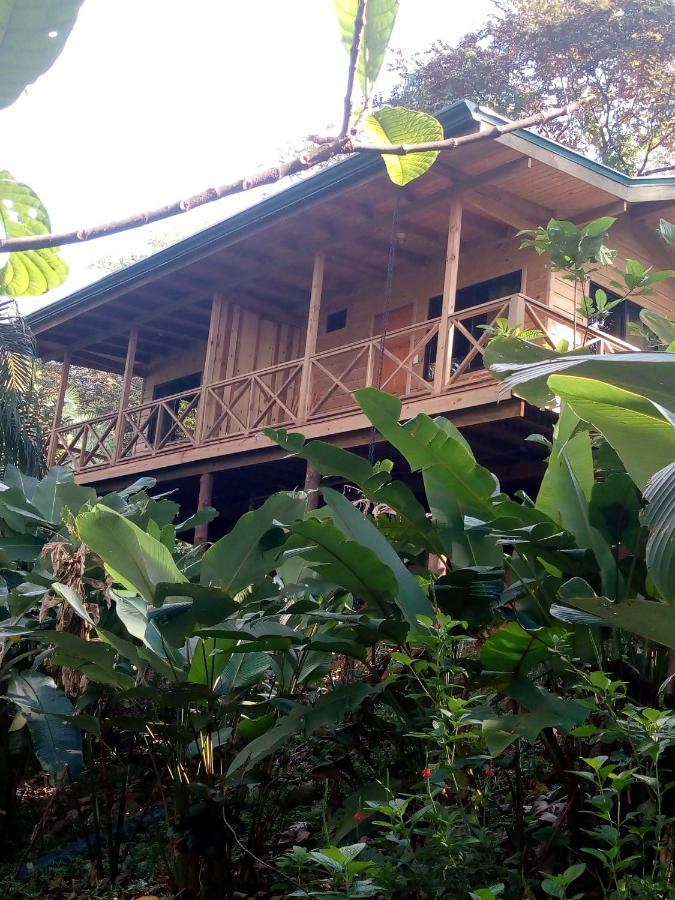 Forest Lodge Uvita Exteriér fotografie