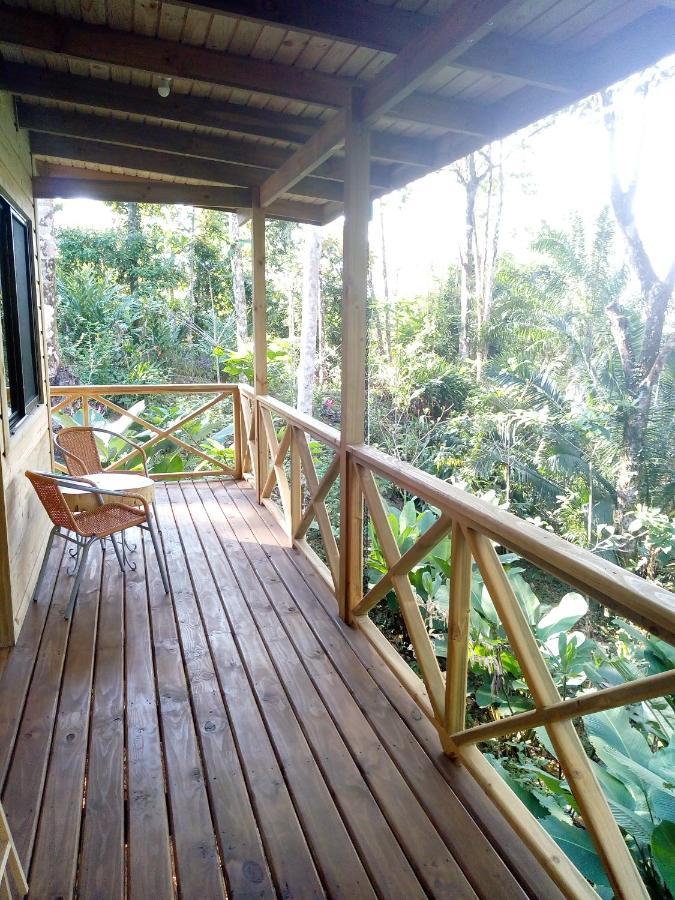 Forest Lodge Uvita Exteriér fotografie